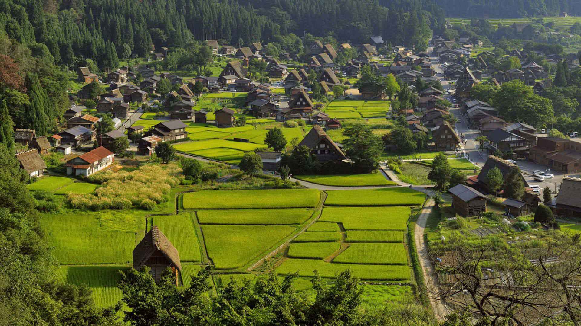 excursion visite village Shirakawa Go sejour japon