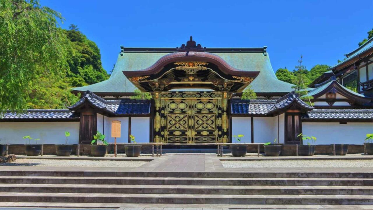 Jochi Ji Nippon Touch