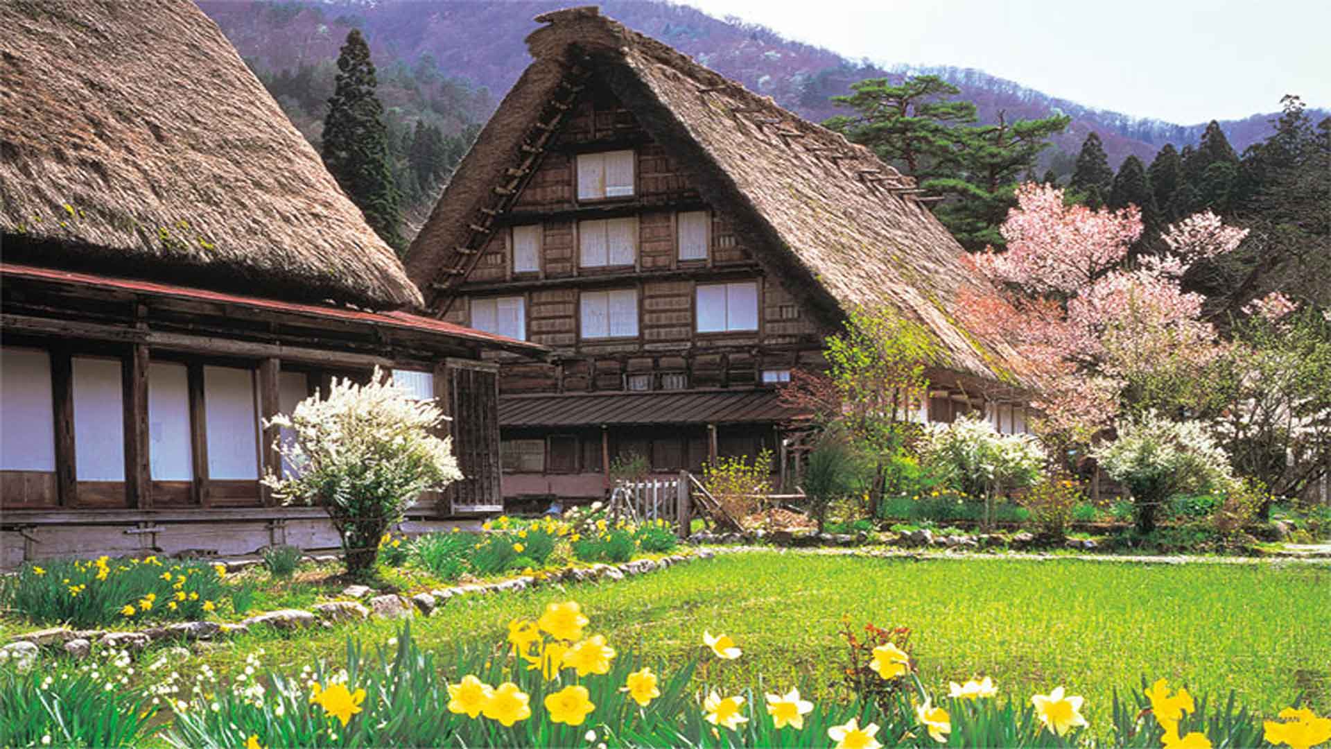 Shirakawa Go Nippon Touch